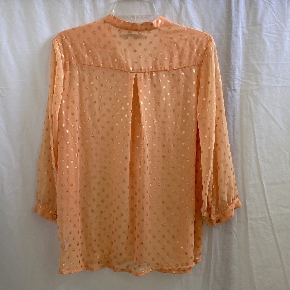 Sheer Blouse Size: Large - Picture 6 of 8